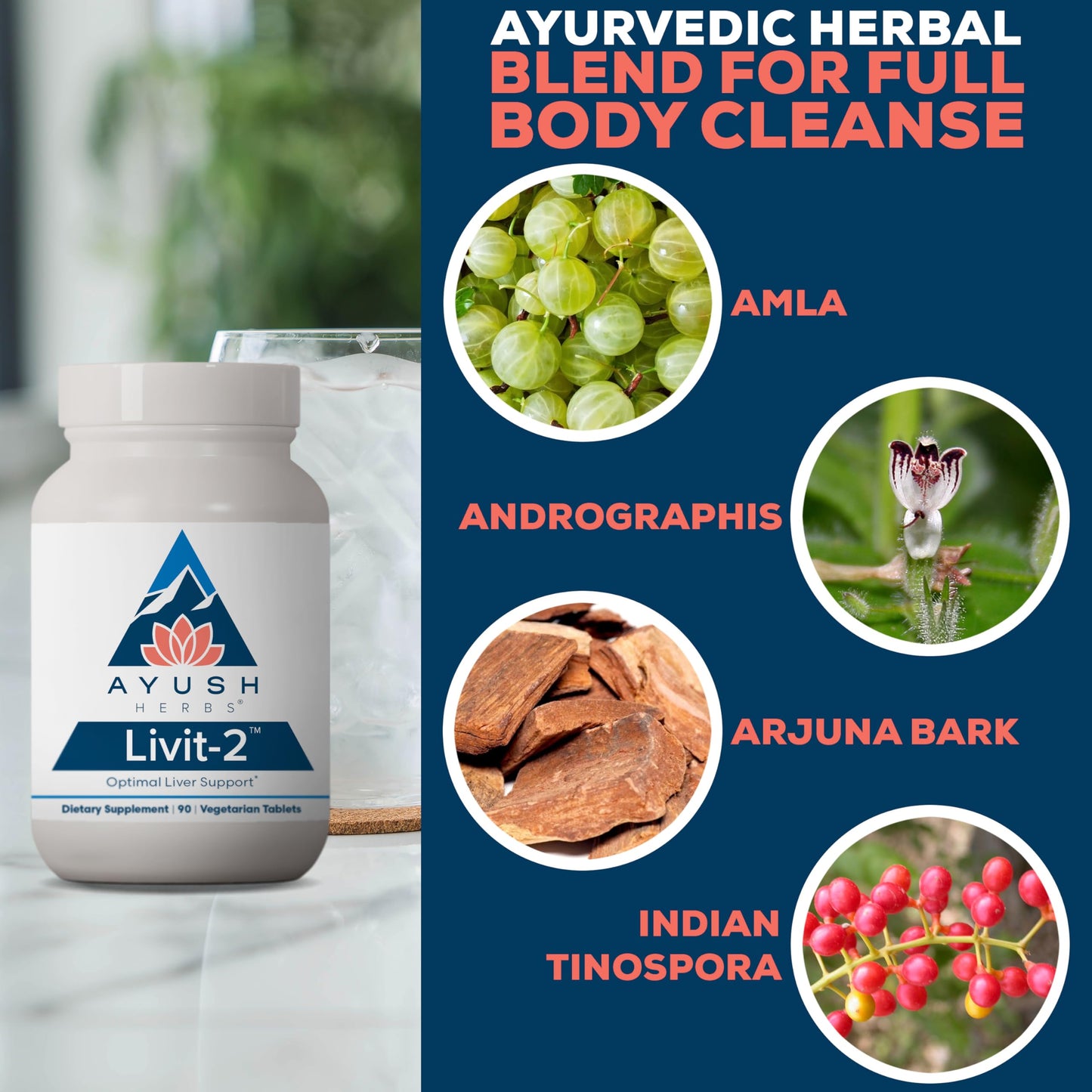Ayush Herbs Livit-2 Liver Care & Detox For Women & Men