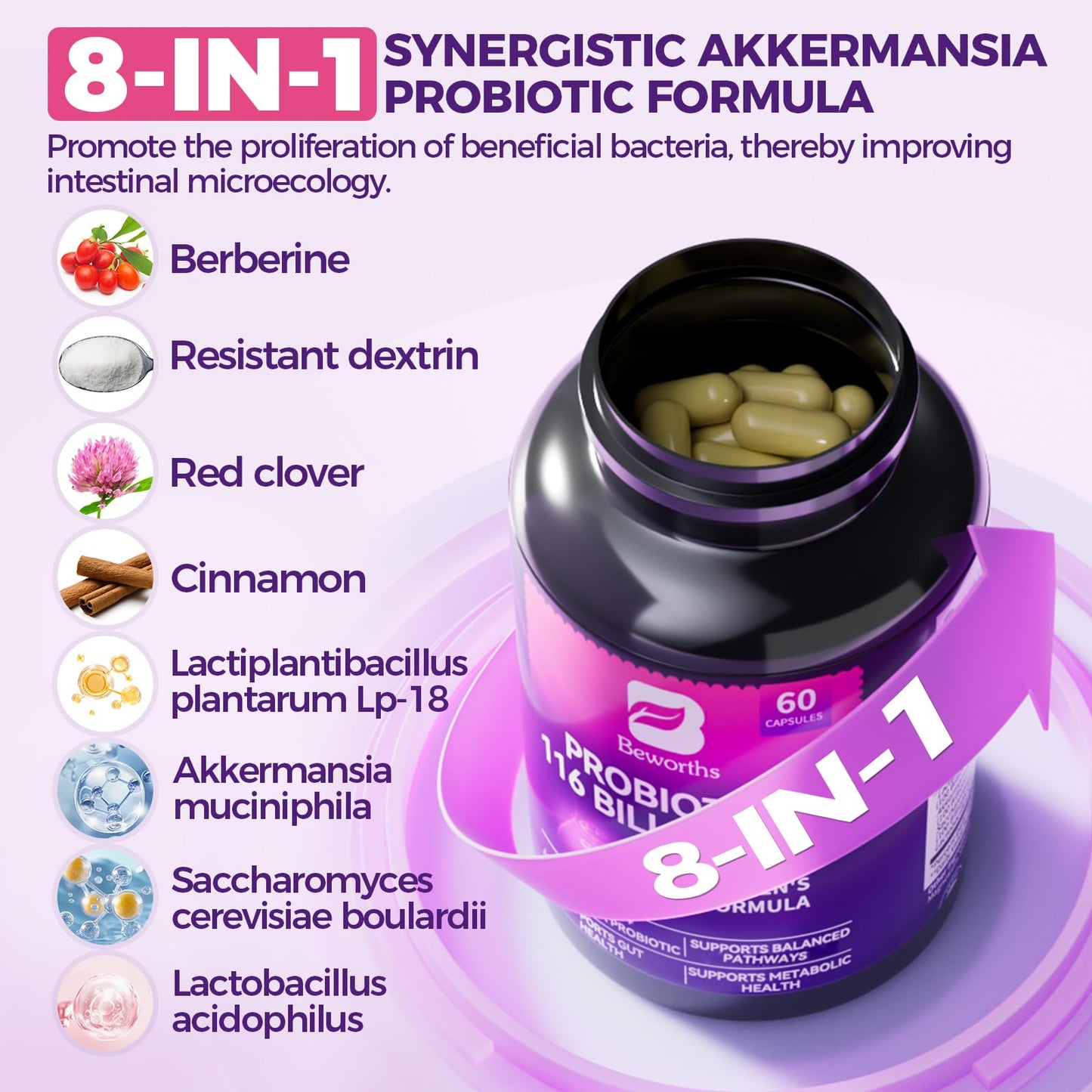 B BEWORTHS Akkermansia Probiotics with Berberine – 60 Capsules