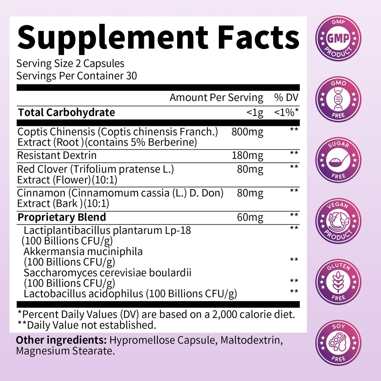 B BEWORTHS Akkermansia Probiotics with Berberine – 60 Capsules