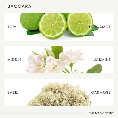 The Magic Scent Baccara Diffuser Oil – Luxury Hotel & Home Scents (16.9 oz / 500 mL)