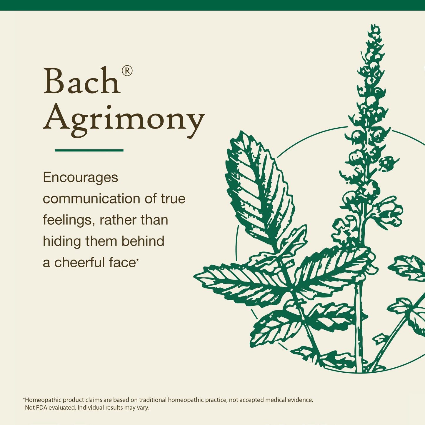Bach Agrimony - Communicate Openly | Original Flower Remedies (20mL) - Emotional Balance