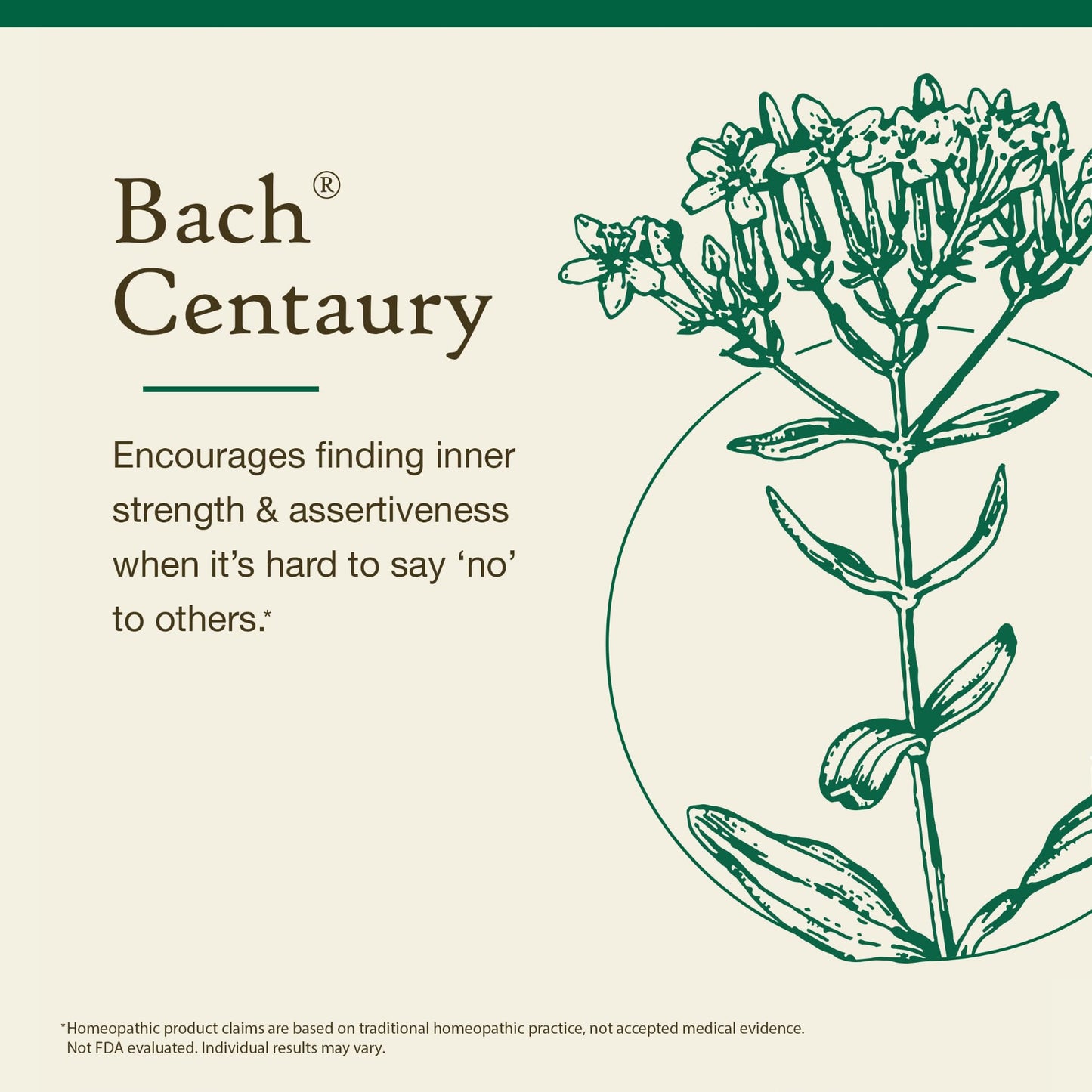 Centaury Bach Original Flower Remedies – Be Assertive (20mL Dropper)