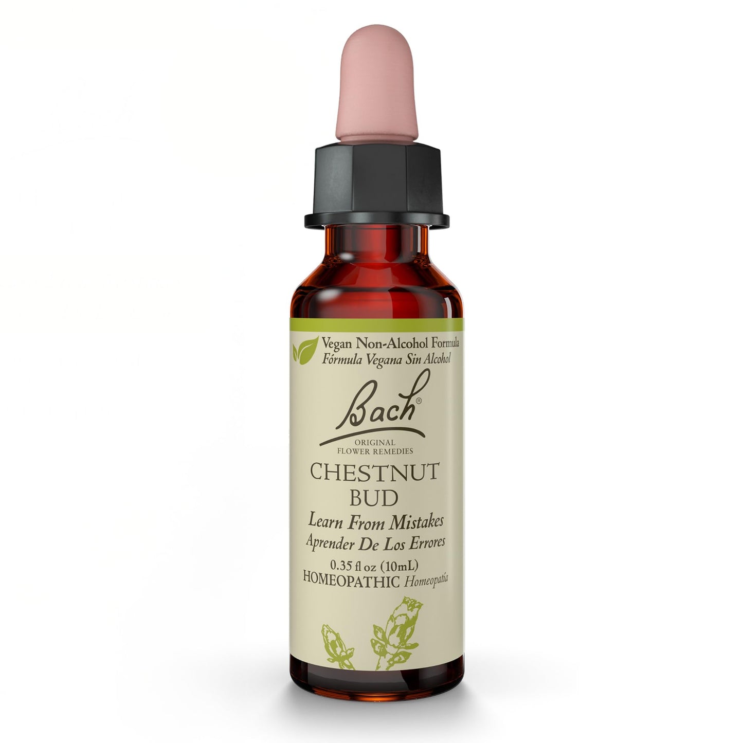 Chestnut Bud Non-Alcohol Flower Remedy – Bach Original | Learn From Mistakes | 10mL Dropper