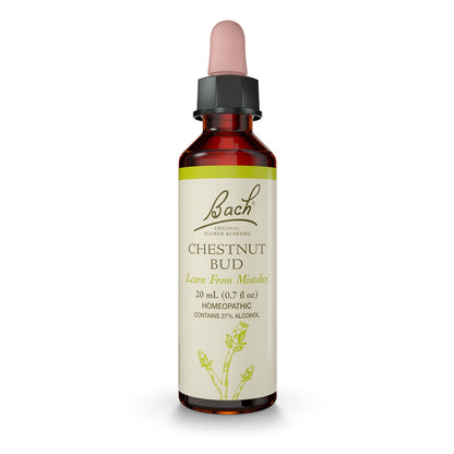 Chestnut Bud Bach Original Flower Remedy – Learn from Mistakes (20mL Dropper)