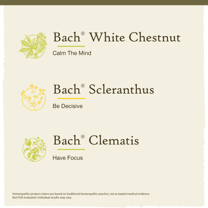 Bach Original Flower Remedies Clarity of Mind Kit – Focus & Mindfulness (3 x 20mL Droppers)