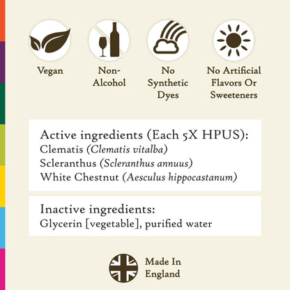 Bach Original Flower Remedies - Clarity Of Mind Trio Kit (Non-Alcohol, 3 x 10mL)