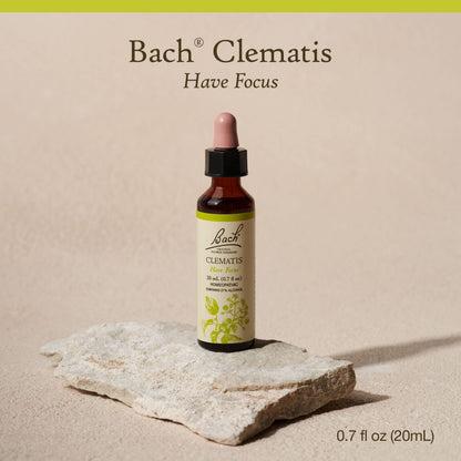 Bach Clematis Have Focus - Original Flower Remedies | 20mL Dropper
