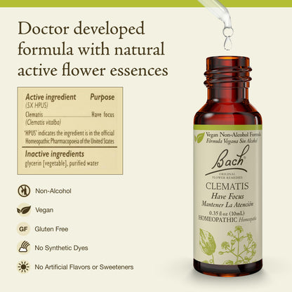 Bach Original Flower Remedies – Clematis (Non-Alcohol) For Focus | 10mL Dropper
