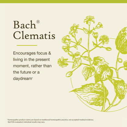 Bach Clematis Original Flower Remedies – Have Focus – 20mL Dropper