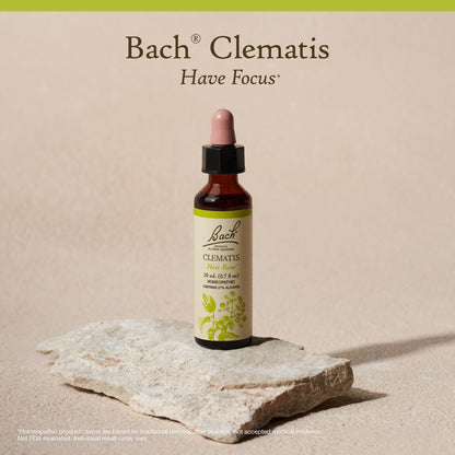 Bach Clematis Original Flower Remedies – Have Focus – 20mL Dropper
