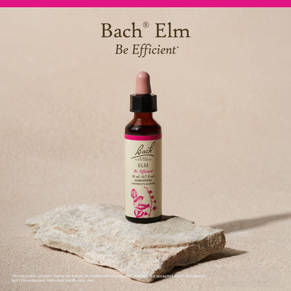 Bach Elm Original Flower Remedies - Be Efficient | 20mL Dropper