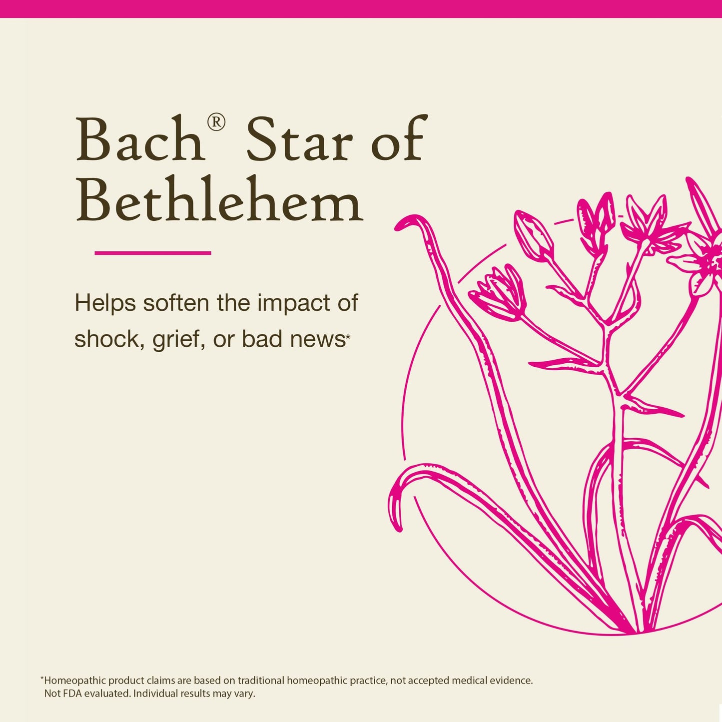 Bach Star of Bethlehem - Neutralize Grief | 20mL Dropper
