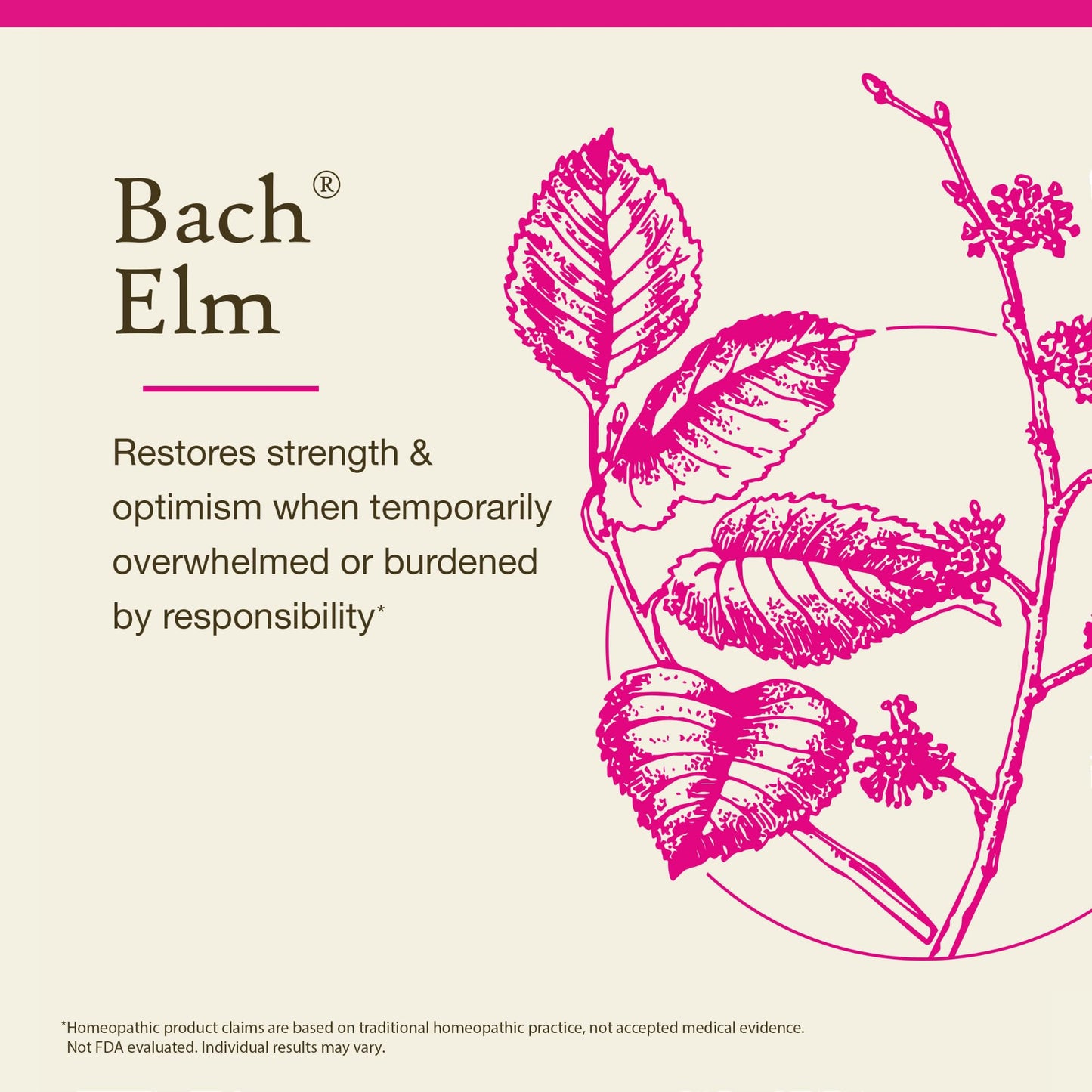 Bach Elm Original Flower Remedies – Be Efficient & Emotional Balance (20mL)