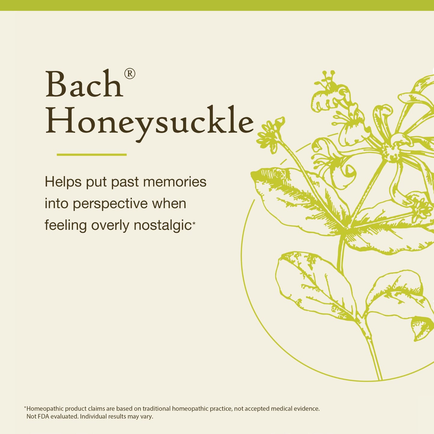 Bach Honeysuckle Original Flower Remedy – Embrace The Now (20mL) – Vegan, Gluten Free