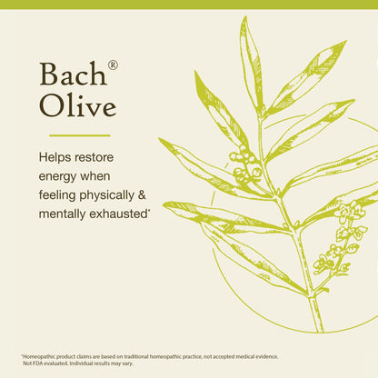 Bach Olive Flower Remedy – Restore Energy (20mL Dropper) | Vegan & Gluten-Free