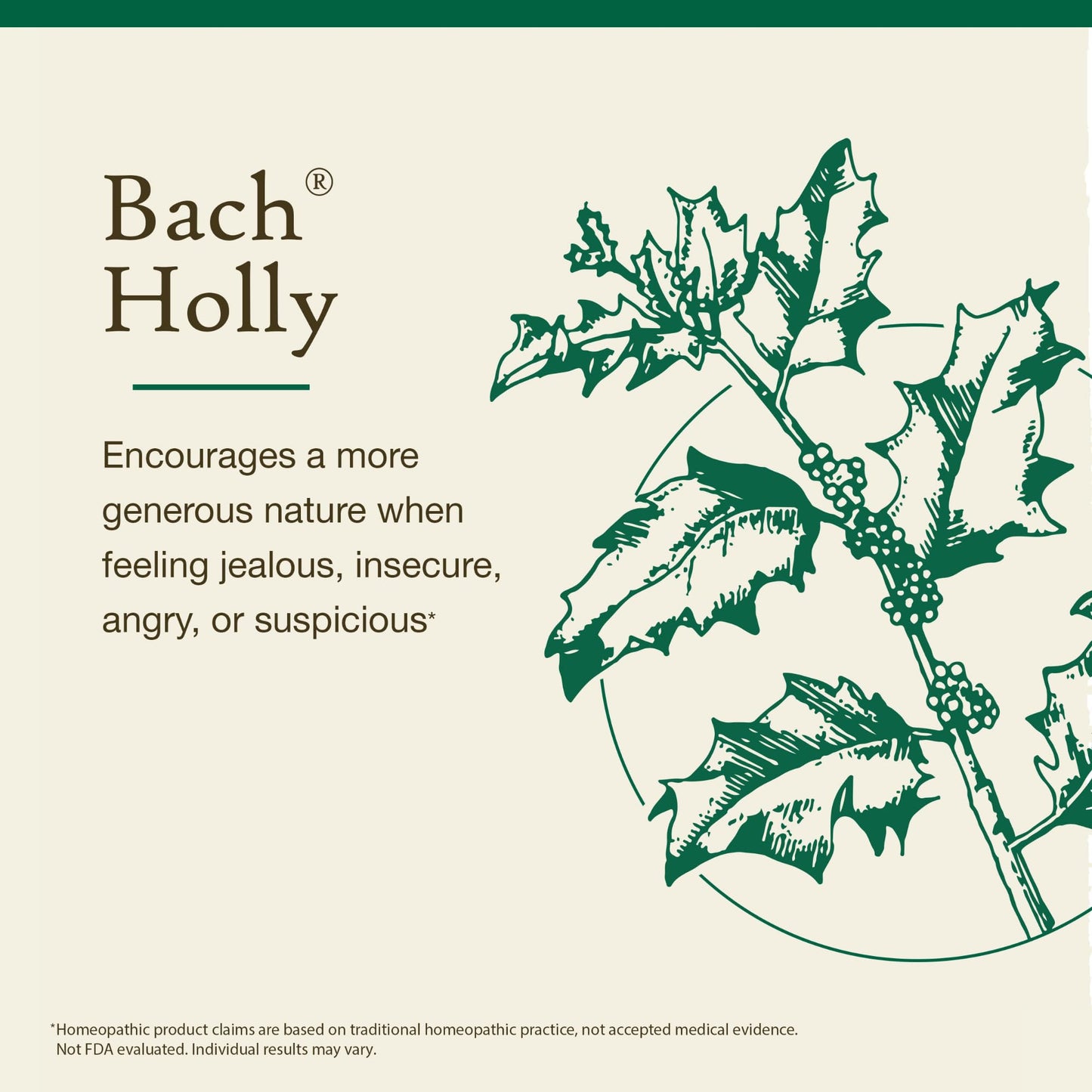 Bach Original Flower Remedies Holly – Emotional Balance | Goodwill Towards Others | 20mL Dropper