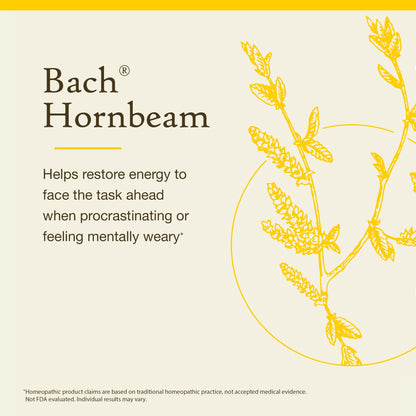 Bach Hornbeam Procrastinate Less – Natural Flower Remedy | 20mL Dropper | Vegan, Gluten Free