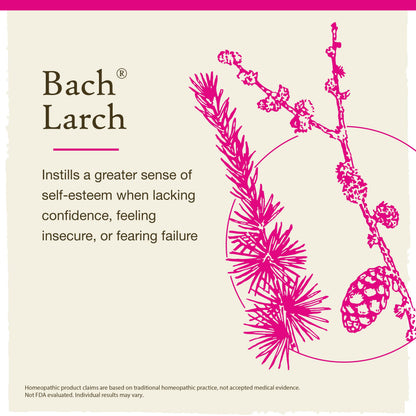 Bach Larch Original Flower Remedies - Have Confidence (20mL Dropper)