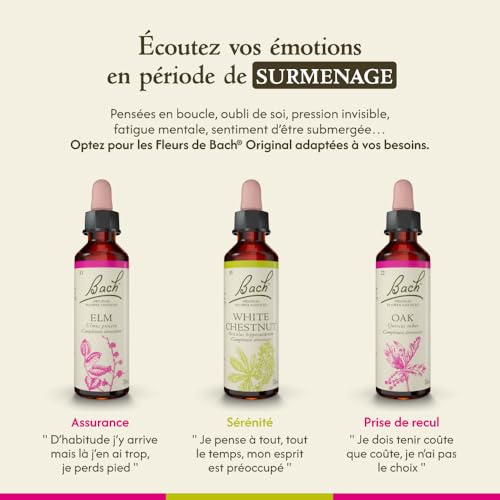 Bach Original Flower Remedies Oak - Restore Endurance | 20mL Dropper | Vegan, Gluten Free, Sugar Free