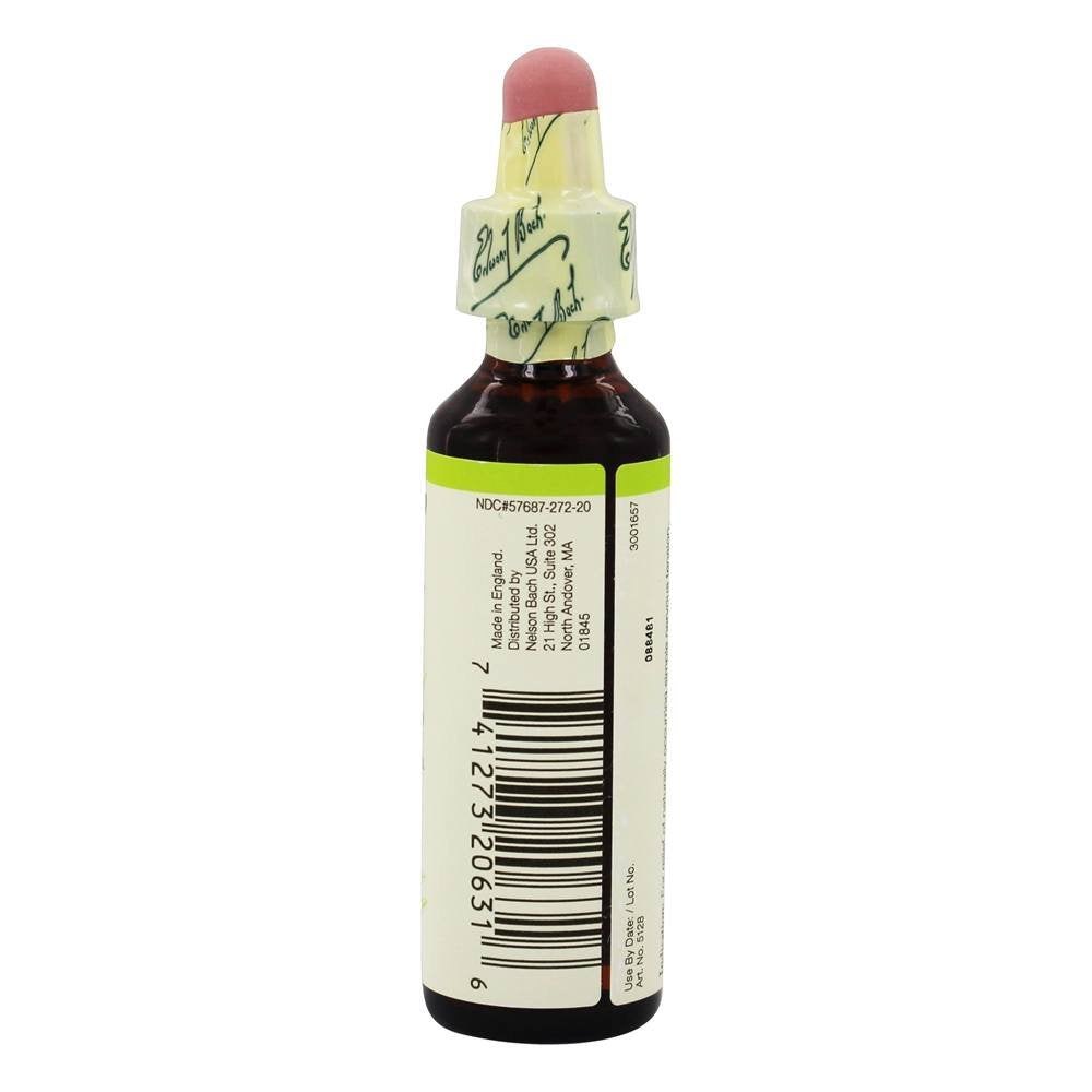 Bach Olive Flower Remedy – Restore Energy (20mL) | Homeopathic Emotional Balance