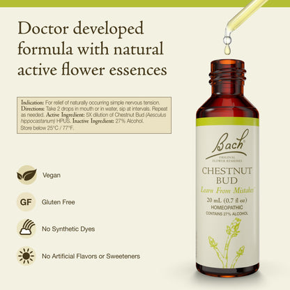 Bach Chestnut Bud Original Flower Remedy – Learn from Mistakes | Emotional Balance | 20mL Dropper | Vegan, Gluten-Free, Sugar-Free