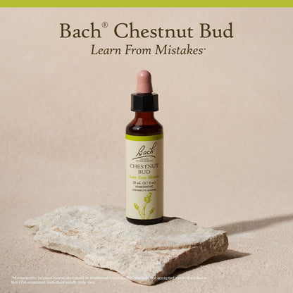 Bach Chestnut Bud Original Flower Remedy – Learn from Mistakes | Emotional Balance | 20mL Dropper | Vegan, Gluten-Free, Sugar-Free