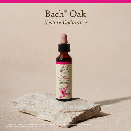 Bach Original Flower Remedies Oak – Restore Endurance | 20mL Dropper