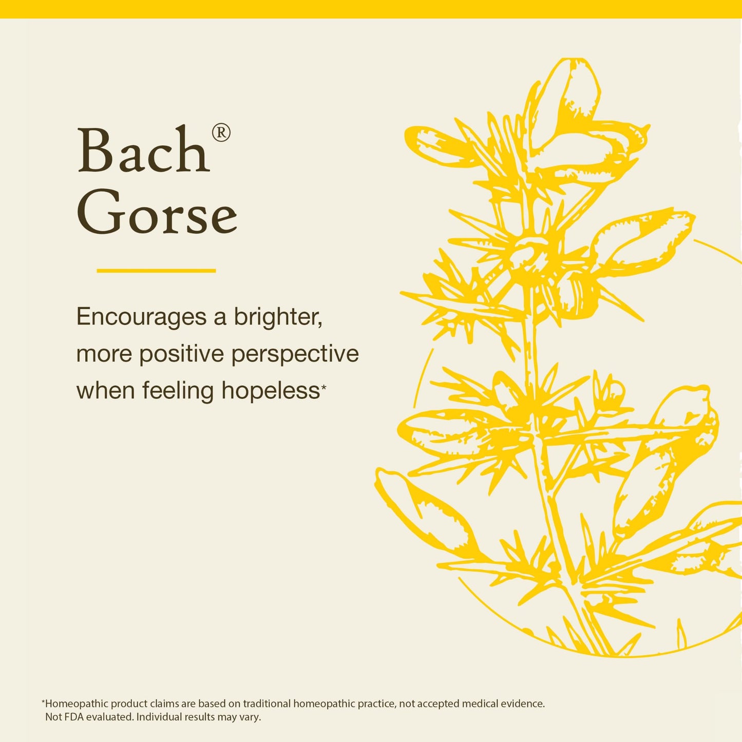Bach Original Flower Remedies: Gorse - Have Hope (20mL Dropper)