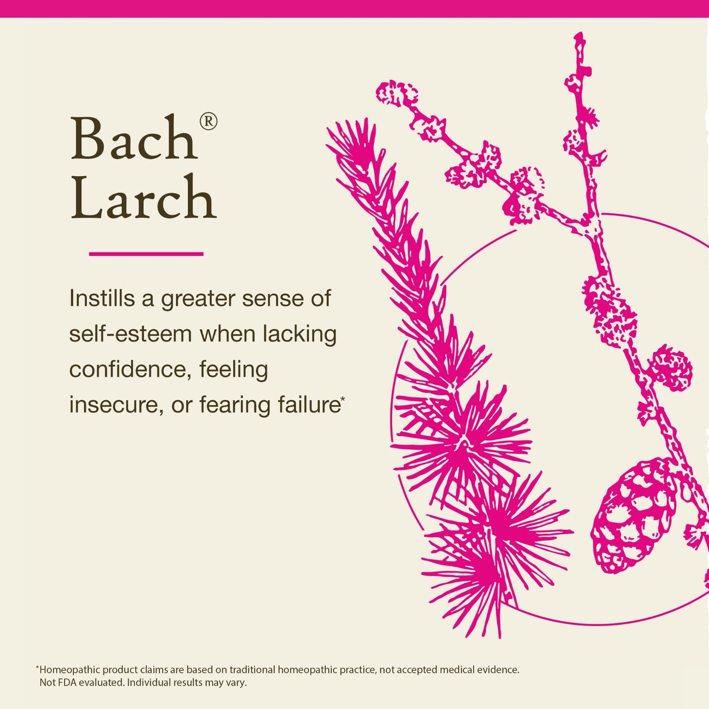Bach Original Flower Remedy – Larch (Have Confidence) – 20mL Dropper