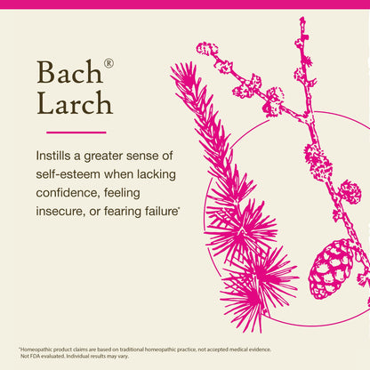 Bach Original Flower Remedy – Larch (Have Confidence) – 20mL Dropper