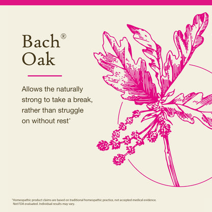 Bach Original Flower Remedies Oak – Restore Endurance | 20mL Dropper