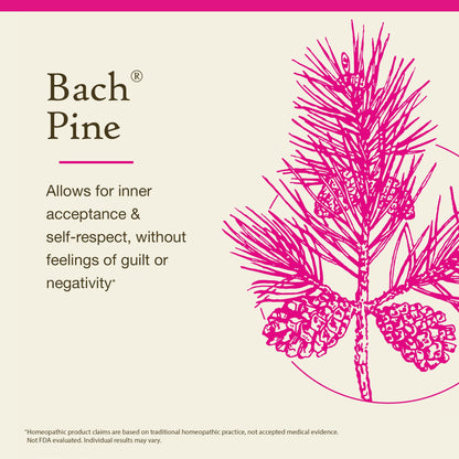 Bach Pine Flower Remedy – Have Self-Respect | Emotional Balance 20mL