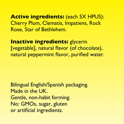 Bach RESCUE Remedy Chocolate Peppermint Flavor 20mL – Stress Relief Homeopathic