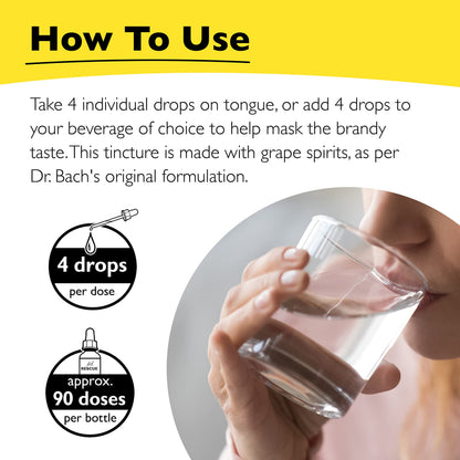Bach RESCUE Remedy Dropper – 2 Pack, 10mL | Natural Stress Relief