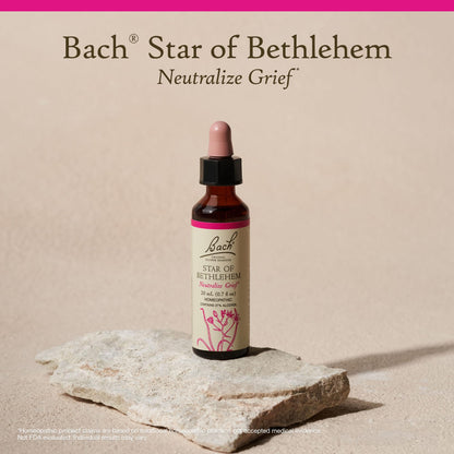 Star of Bethlehem Bach Flower Remedy 20mL – Emotional Balance (Vegan, Gluten Free)