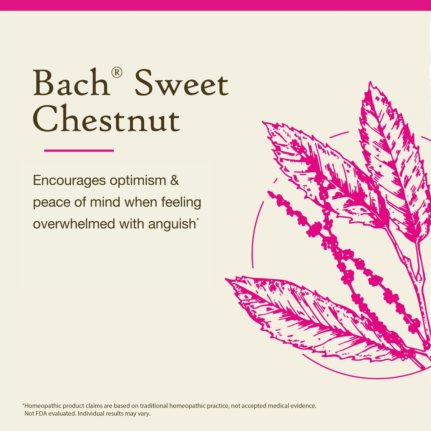Bach Original Flower Remedies Sweet Chestnut – Non-Alcohol Formula for Emotional Balance