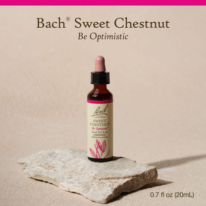 Bach Sweet Chestnut Flower Remedy – Be Optimistic (20mL) – Vegan & Gluten Free