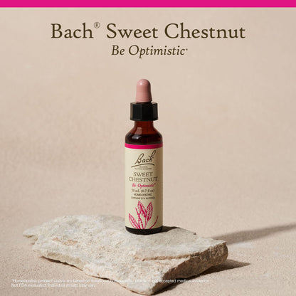 Bach Original Flower Remedies Sweet Chestnut - Be Optimistic (20mL Dropper)