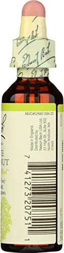 Bach Original Flower Remedies White Chestnut 0.68 Fl Oz – Mental Clarity & Calm