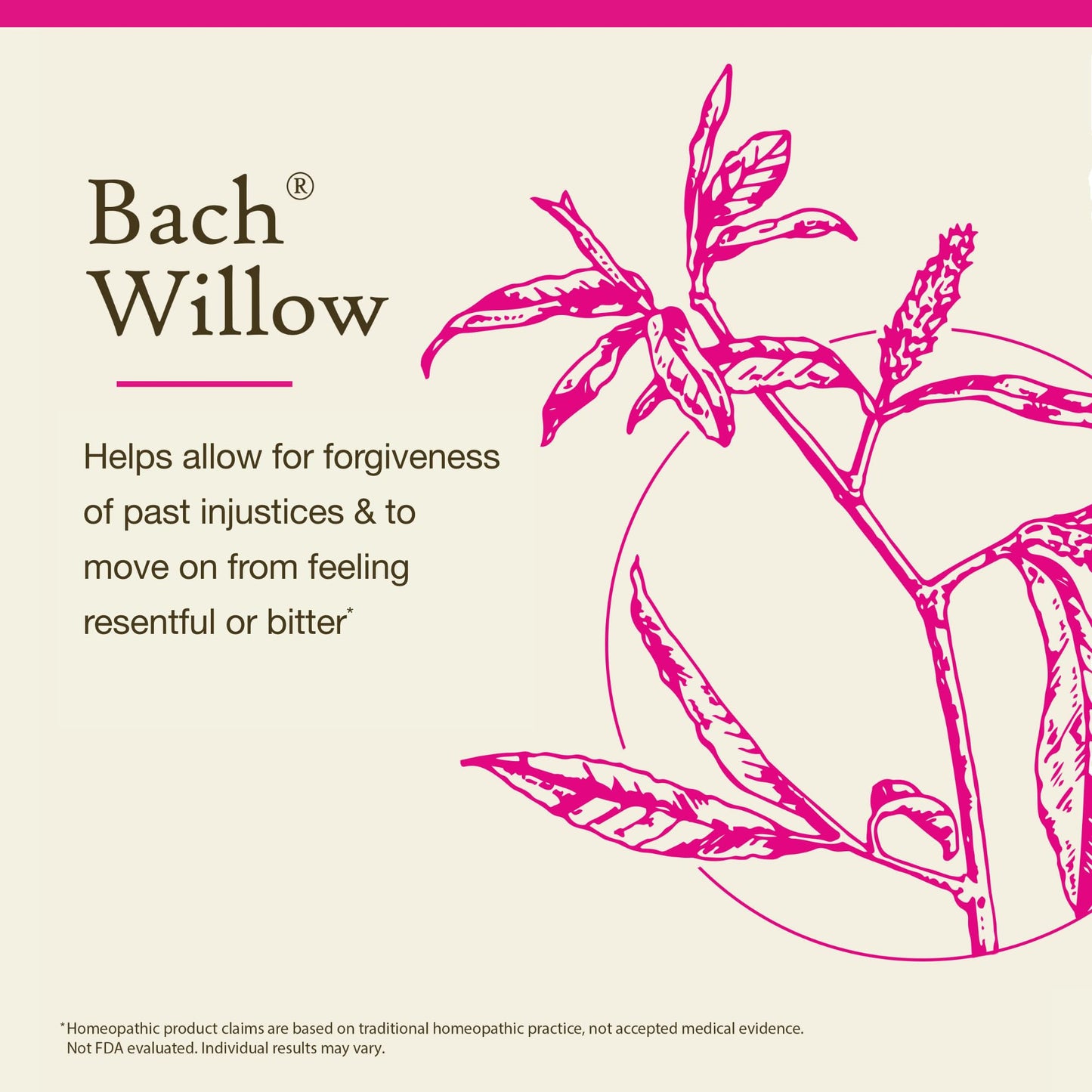 Bach Willow Forgive & Forget – Original Flower Remedy (20mL Dropper) | Emotional Balance