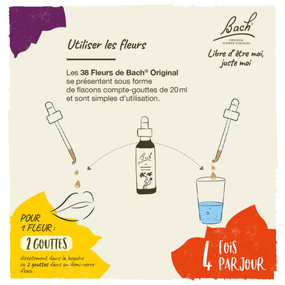 Bach Willow Original Flower Remedies – Forgive & Forget, 20mL Dropper