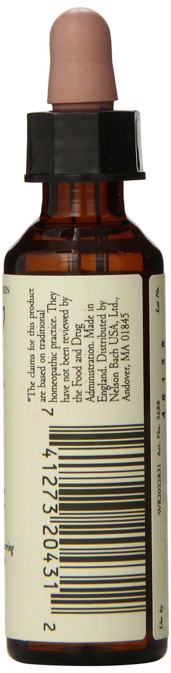 Bach Beech Be More Tolerant - 20mL Flower Remedy | Emotional Balance