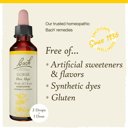 Bach Gorse Original Flower Remedies – Have Hope | 20mL Dropper