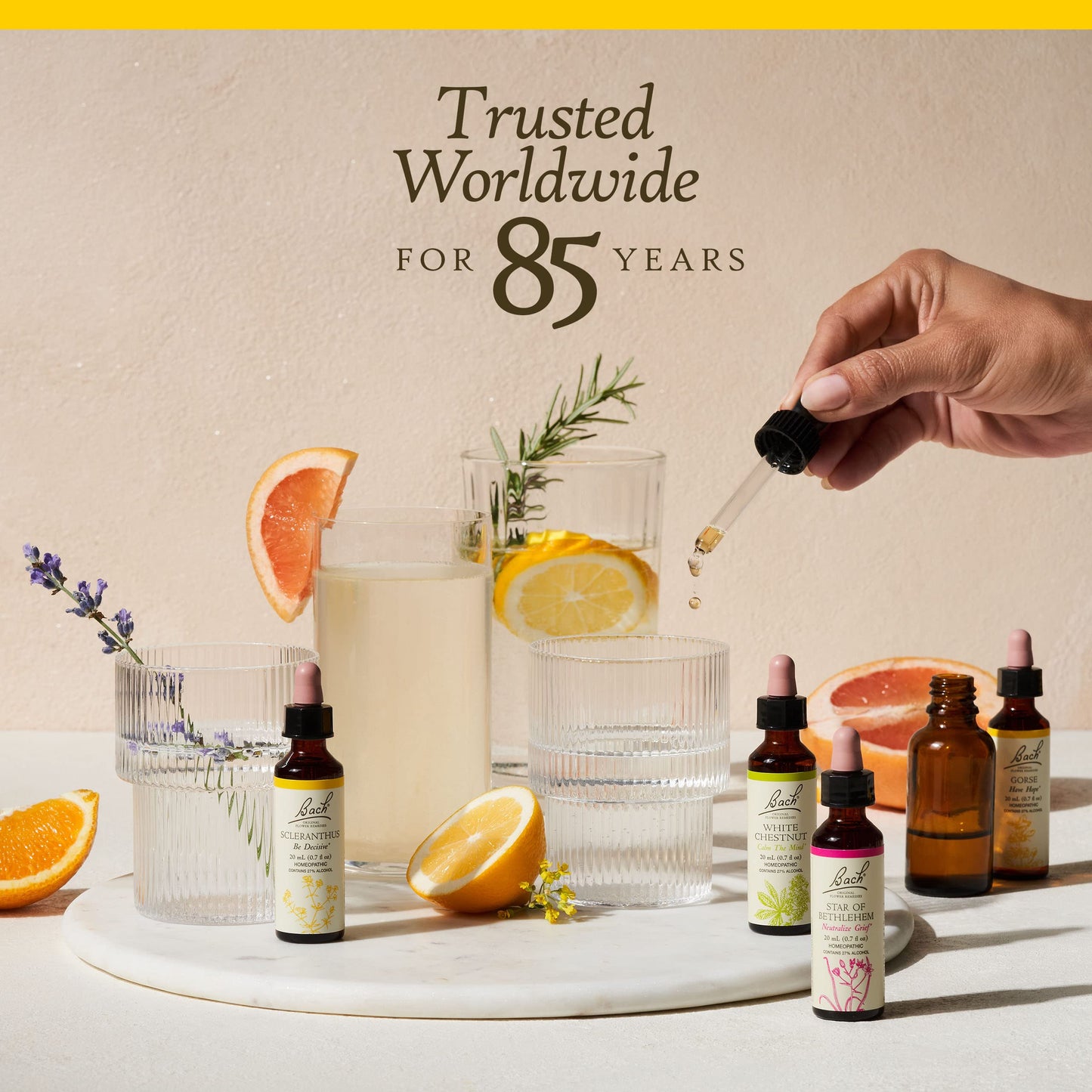 Bach Gorse Original Flower Remedies – Have Hope | 20mL Dropper