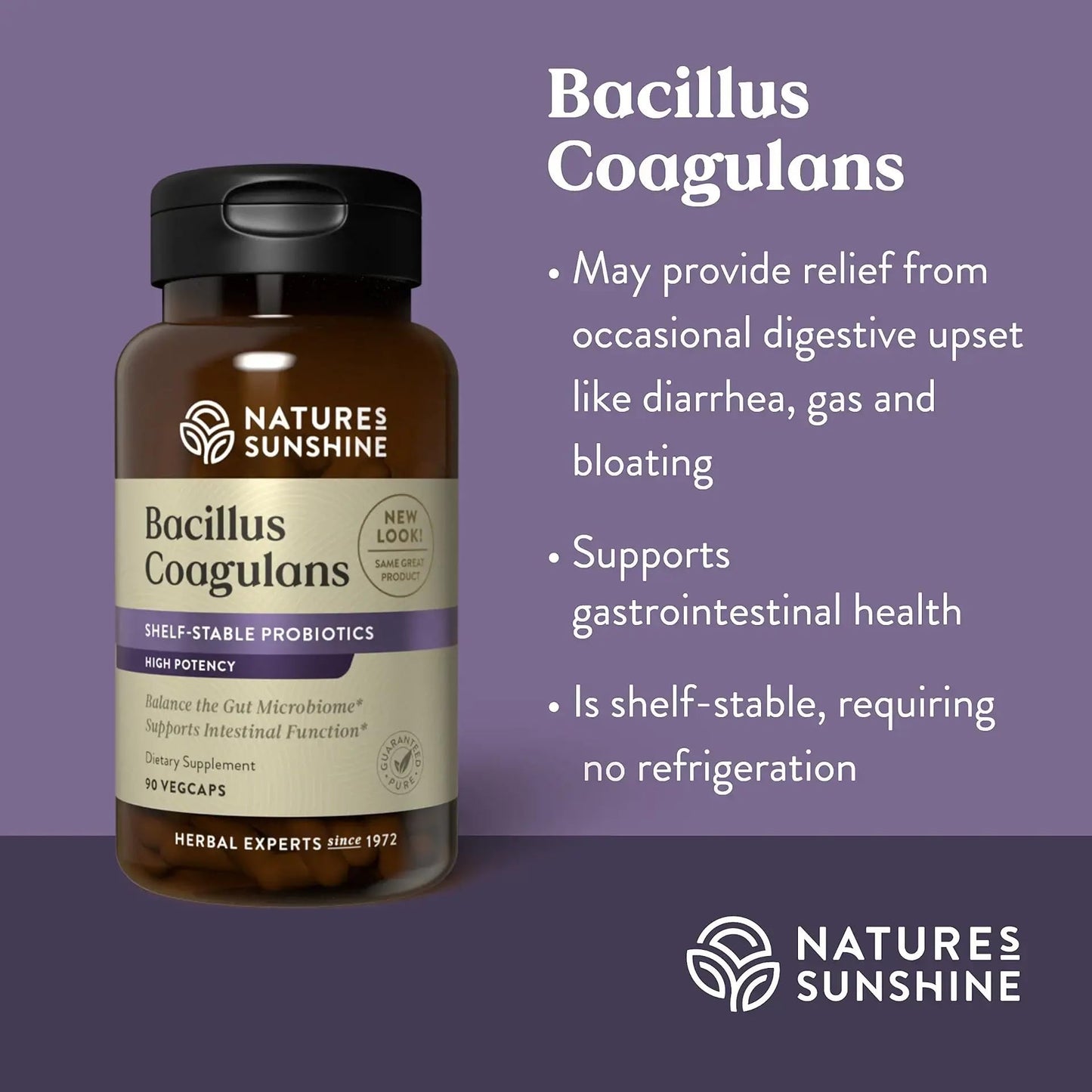 Nature's Sunshine Nutribiome Bacillus Coagulans Probiotics - 90 Capsules, 3 Billion CFU for Digestive Support