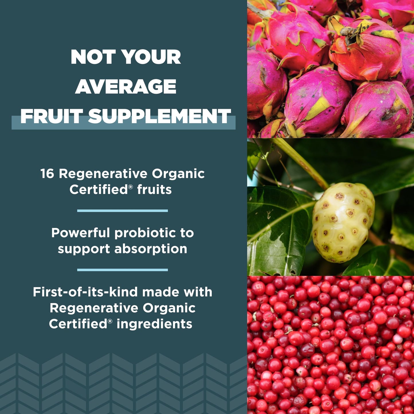 Ancient Nutrition ROC SuperFruits Capsules – Gut & Immune Health, 60 Count