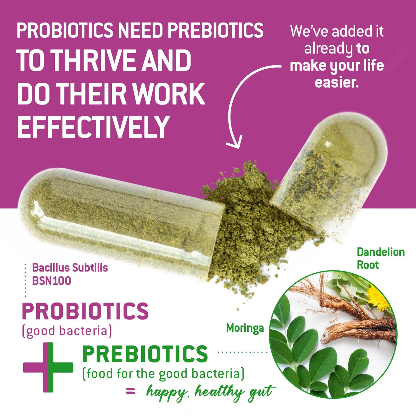 Bacillus Subtilis Spore Probiotic – 6B CFU, Prebiotic Support | 90 Veggie Capsules