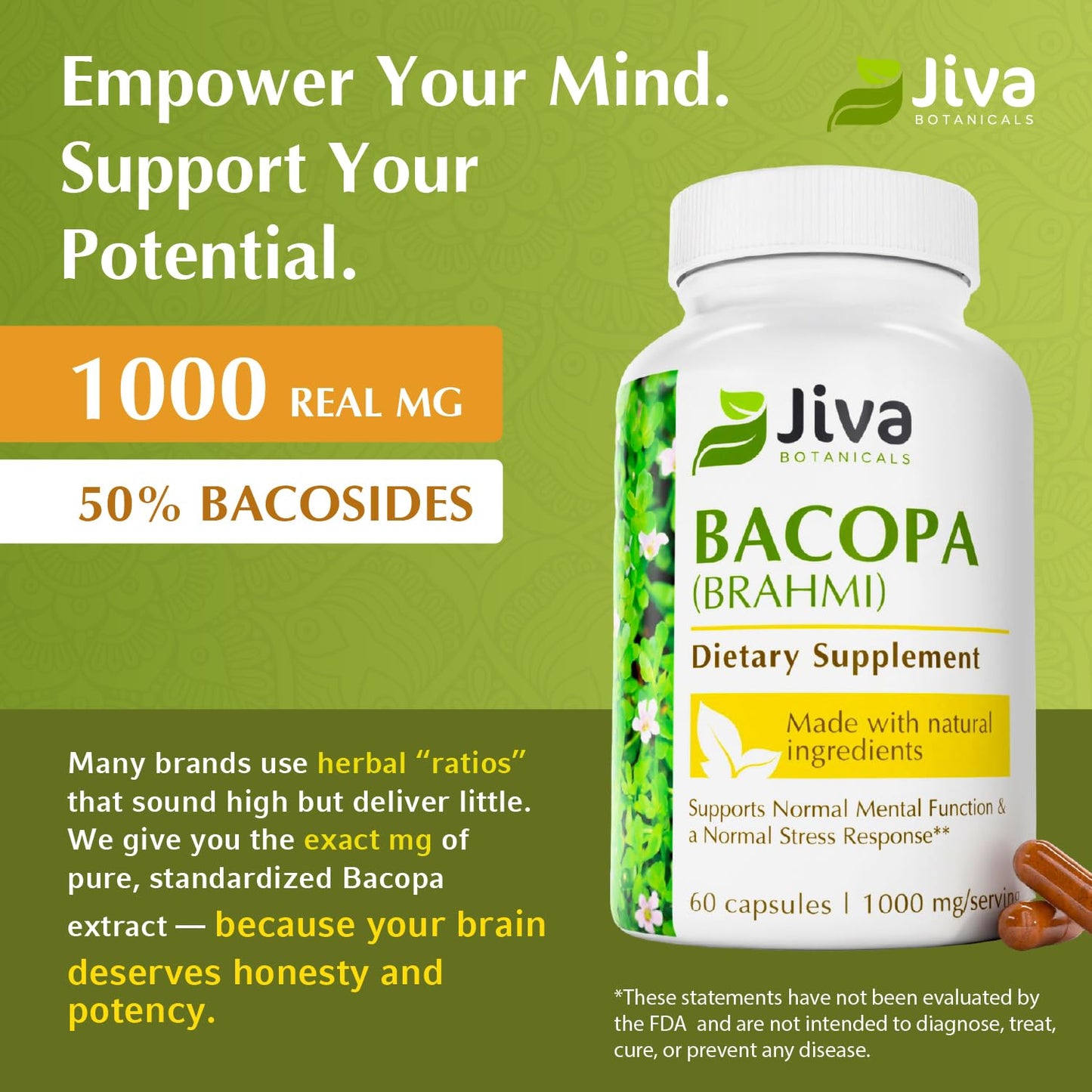 Jiva Botanicals Bacopa Monnieri 1000mg – Focus & Memory Support (60 Capsules)
