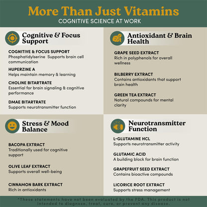 Brain Supplements for Memory & Focus – Bacopa, PS & Omega-3