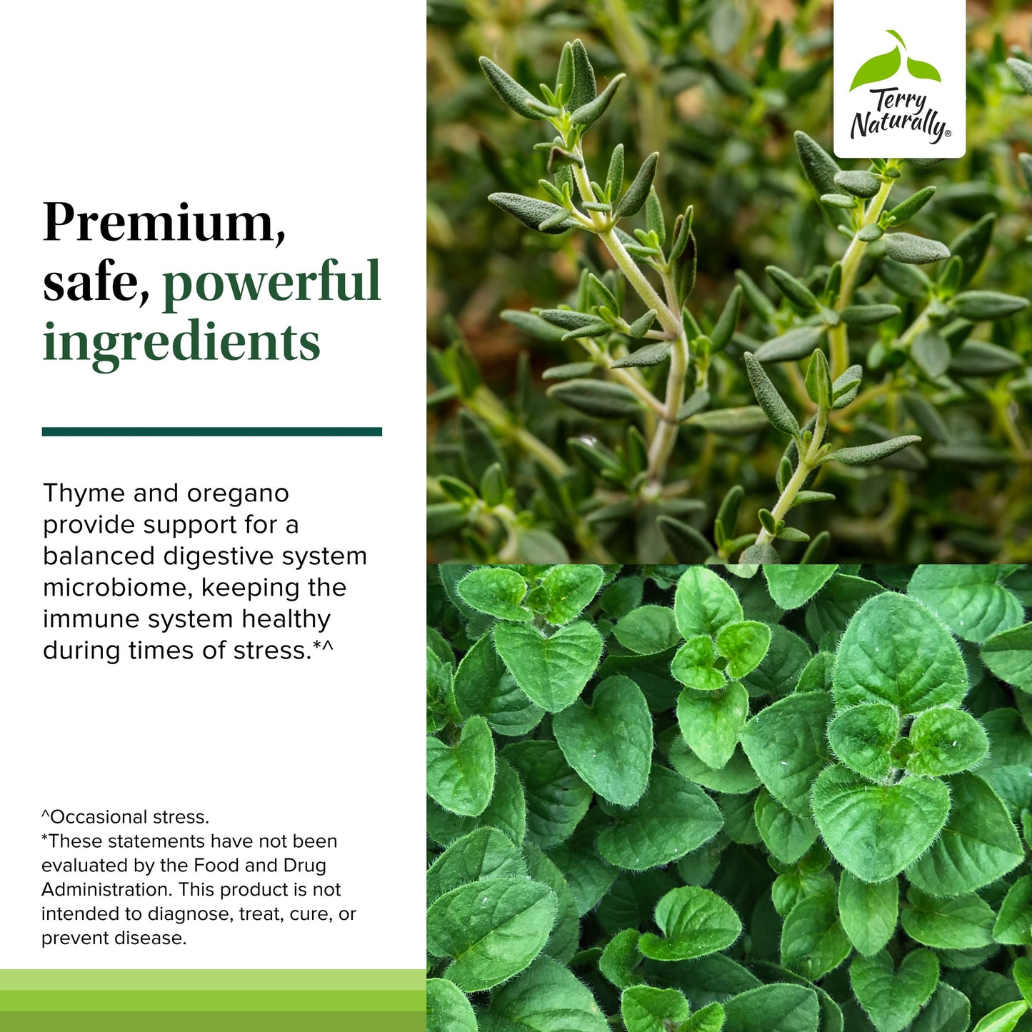 Terry Naturally Bacteril Extra Strength – Immune & GI Health (Gluten & Dairy Free)